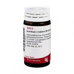 ACONITUM E TUBERE D6 - GLOBULI 20 GR