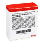 ATP Injeel forte conf. - FIALE 10 X 1,1 ML