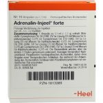 Adrenalin Injeel Forte - FIALE 10 X 1,1 ML
