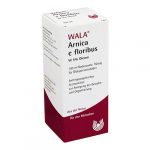 ARNICA E floribus W 5% Oleum - 100 ML