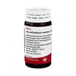 ARNICA  PLUMBUM Mellitum - GLOBULI 20 GR