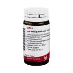 AURUM  EQUISETUM I- GLOBULI 20 GR