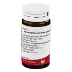 AURUM/ STIBIUM/ HYOSCYAMUS - GLOBULI 20 GR