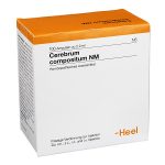 Cerebrum Compositum NM - FIALE 100 X 2,2 ML (Den. Italiana Selenium compositum Heel)