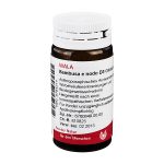 BAMBUSA E NODO D3 - GLOBULI 20 GR