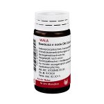 BAMBUSA E NODO D6  -GLOBULI 20 GR