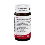 BERBERIS/APIS COMP. -GLOBULI 20 GR