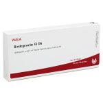 BINDEGEWEBE GL D6 - FIALE 10 X 1 ML