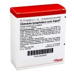 GLANDULA LYMPHATICA suis Injeel - FIALE 10 X 1,1 ML