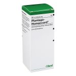 PLANTAGO HOMACCORD - 30 ML