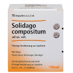 SOLIDAGO COMPOSITUM ad USO VETERINARIO – FIALE 10 X 2,2 ML