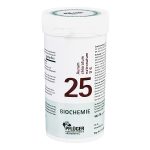 Nr. 25 Aurum chlor. natron. D6 - 400 CPS