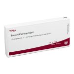 BRONCHI PLANTAGO Inject f- FIALE 10 X 1 ML