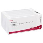 CACTUS COMP. II - FIALE 50 X 1 ML