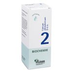 Nr. 2 Calcium phosphoricum D6 - 100 CPS