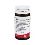 CARDUUS MARIANUS/ VISCUM MALI COMP. - GLOBULI 20 GR