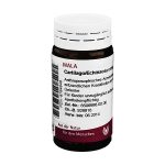 CARTILAGO/Echinacea comp.- GLOBULI 20 GR