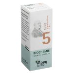 Nr. 5 Kalium phosphoricum D6 - 100 CPS