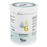 Nr. 6 Kalium sulfuricum D6 - 1000 CPS