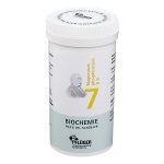 Nr. 7 Magnesium phosphoricum D6 - 400 CPS