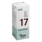 Nr. 17 Manganum sulfuricum D 6 - 100 CPS