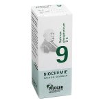 Nr. 9 Natrium phosphoricum D6 - 100 CPS