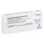 Bryophyllum Argento cultum Rh D2 8x1 ml fiale