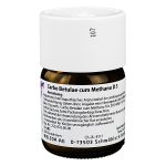 CARBO betulae cum. Methano D3 triturazione 50 gr