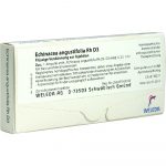 ECHINACEA ANGUSTIFOLIA Rh D3  8x1 ml fiale