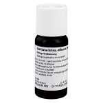 GENTIANA LUTEA D1 Dilution 50 ml