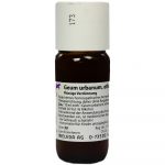 GEUM URBANUM D1 Dilution 50 ml