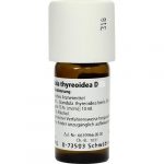 GLANDULA THYREOIDEA D12 Dilution 50 ml
