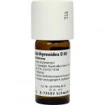 GLANDULA THYREOIDEA D 30 Dilution confezione da 20 ml