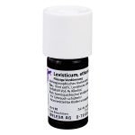 LEVISTICUM ethanol.Decoctum D2 Dilution 20 ml
