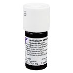 LEVISTICUM ethanol.Decoctum D3 Dilution 20 ml