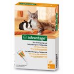 ADVANTAGE 40 mg Lsg.f.kl.Katzen/kl.Zierkaninchen