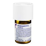 NONTRONIT D12 Trituration 20 gr