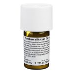 PLUMBUM SILICICUM D6 Trituration 20 gr