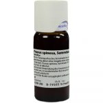 PRUNUS SPINOSA SUMMITATES tintura 50 ml