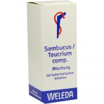 SAMBUCUS / TEUCRIUM comp. Dilution 50 ml