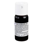 THUJA OCCIDENTALIS 20% tintura per uso esterno 50 ml