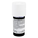 THUJA OCCIDENTALIS D12 Dilution 20 ml