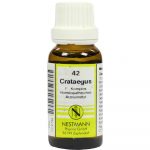 Crataegus F Komplex 42 Dilution 20 ml