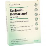 Berberis Homaccord uso veterinario CONF. - FIALE 5 X 5 ML