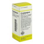 Crataegus Dilution veterinario 50 ML
