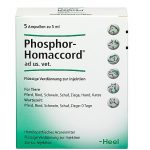 PHOSPHOR HOMACCORD Veterinario - FIALE 5 X 5 ML