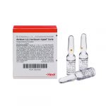 Acidum L + Lacticum Injeel Forte conf. - FIALE 10 X 1,1 ML