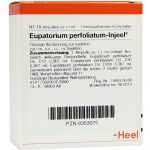 Eupatorium Perfoliatum Injeel - FIALE 10 X 1,1 ML