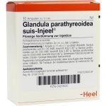 Glandula Parathyreoidea Suis Injeel- FIALE 10 X 1,1 ML