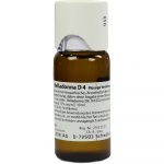 Belladonna Planta Tota D4 Diluizione 50 ml